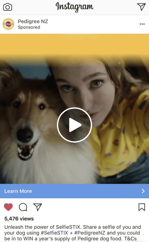 Pedigree In-Feed Ad