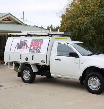 Pest Control Company Marketing Results